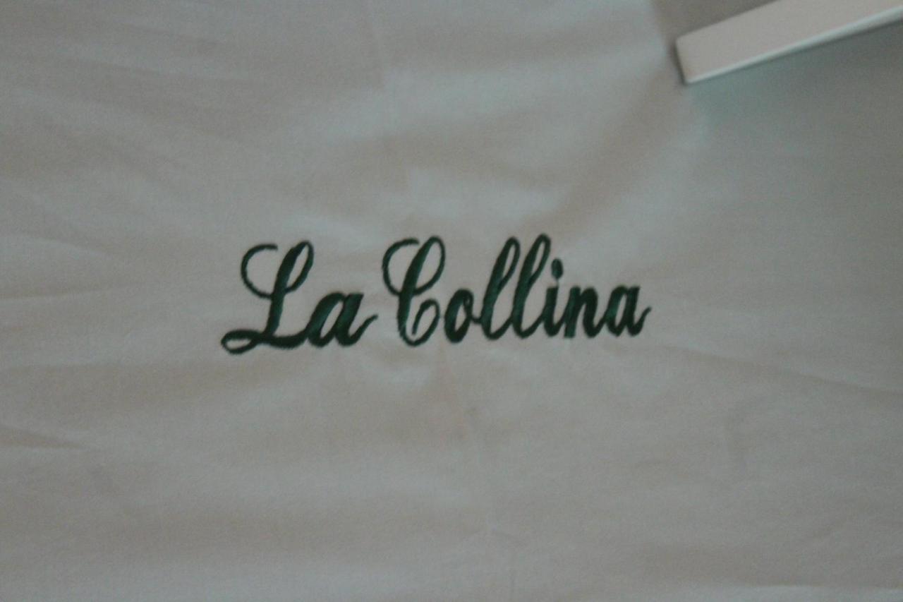Bed and Breakfast La Collina Santa Maria Del Cedro Exterior foto